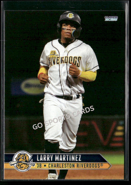 2025 Charleston RiverDogs Larry Martinez