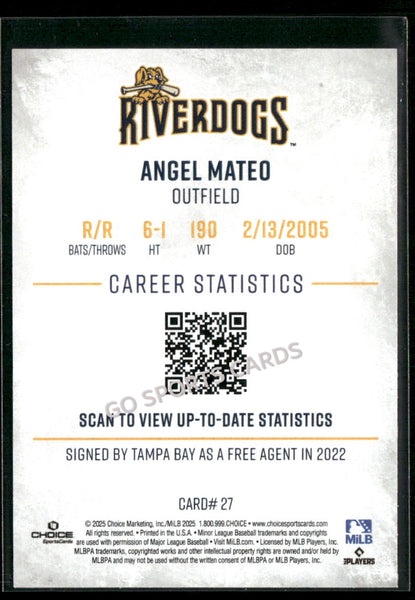2025 Charleston RiverDogs Angel Mateo