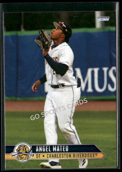2025 Charleston RiverDogs Angel Mateo
