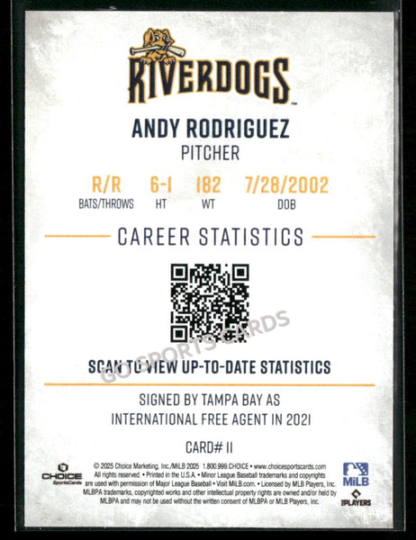 2025 Charleston RiverDogs Andy Rodriguez