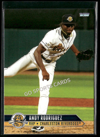 2025 Charleston RiverDogs Andy Rodriguez