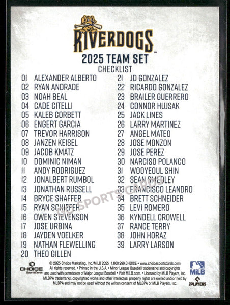 2025 Charleston RiverDogs Header - Checklist