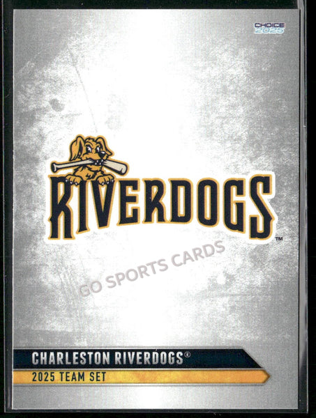 2025 Charleston RiverDogs Header - Checklist