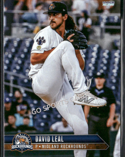2025 Midland Rockhounds David Leal