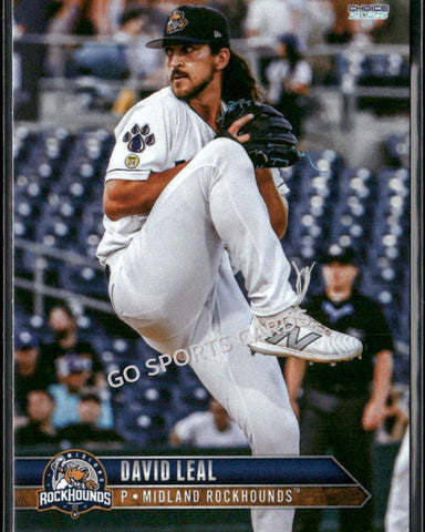 2025 Midland Rockhounds David Leal