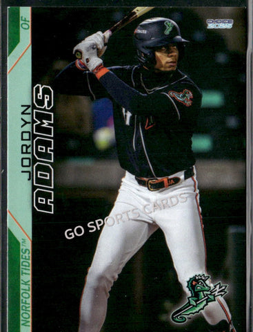 2025 Norfolk Tides Jordyn Adams