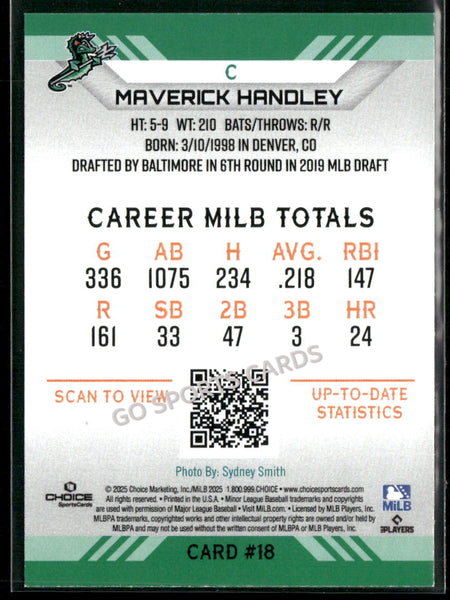 2025 Norfolk Tides Maverick Handley