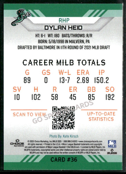 2025 Norfolk Tides Dylan Heid