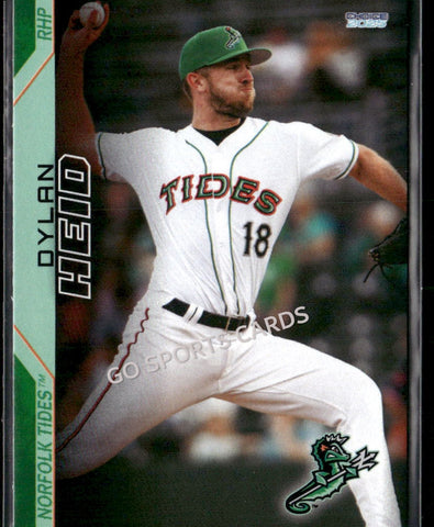 2025 Norfolk Tides Dylan Heid