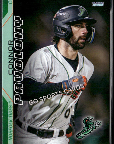 2025 Norfolk Tides Connor Pavolony