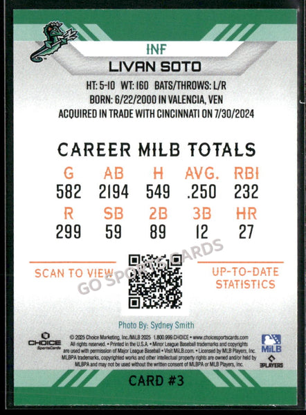 2025 Norfolk Tides Livan Soto
