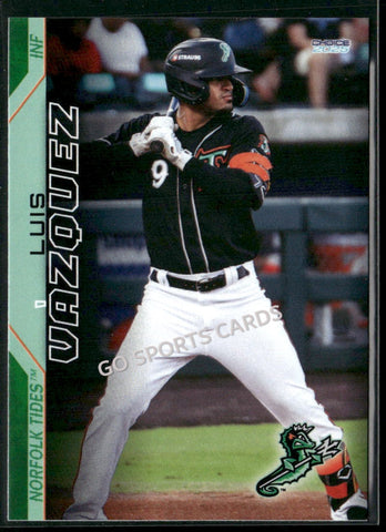 2025 Norfolk Tides Luis Vazquez