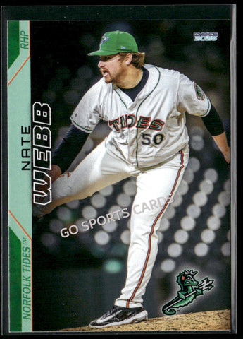 2025 Norfolk Tides Nate Webb