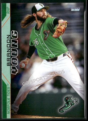 2025 Norfolk Tides Brandon Young