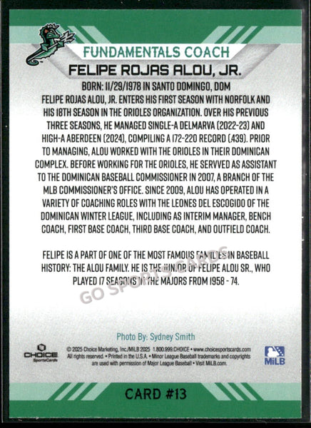 2025 Norfolk Tides Felipe Rojas Alou Jr