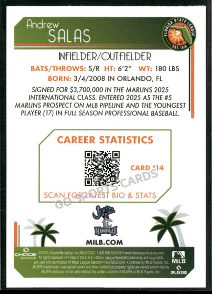 2025 Florida State League Top Prospects FSL 2nd Andrew Salas