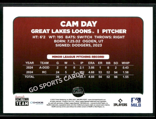 2025 Great Lakes Loons Cam Day