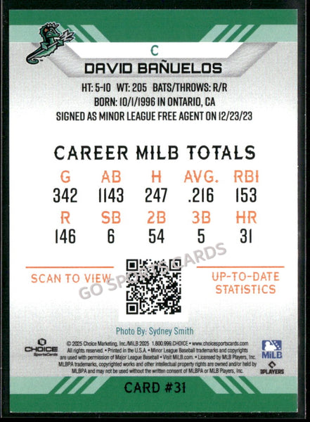 2025 Norfolk Tides David Banuelos