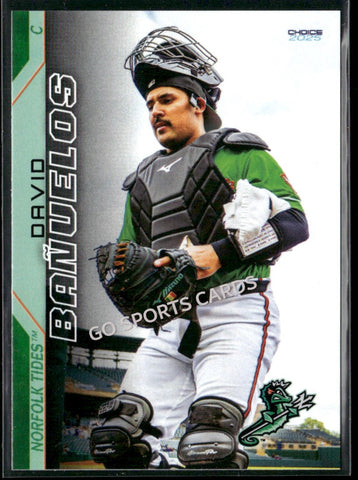 2025 Norfolk Tides David Banuelos