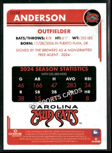 2025 Carolina Mudcats Jose Anderson