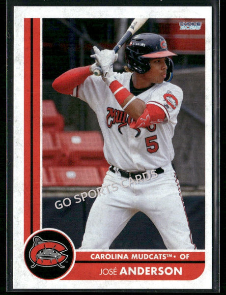 2025 Carolina Mudcats Jose Anderson