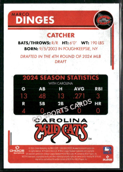 2025 Carolina Mudcats Marco Dinges