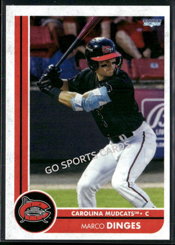2025 Carolina Mudcats Marco Dinges