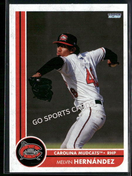 2025 Carolina Mudcats Melvin Hernandez