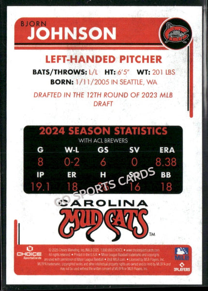 2025 Carolina Mudcats Bjorn Johnson