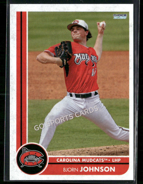 2025 Carolina Mudcats Bjorn Johnson