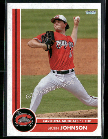 2025 Carolina Mudcats Bjorn Johnson