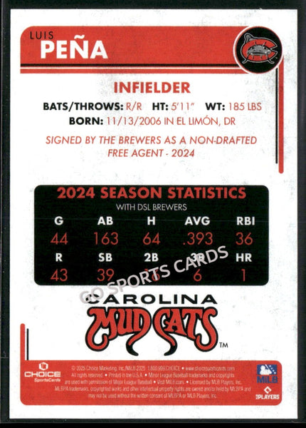 2025 Carolina Mudcats Luis Pena