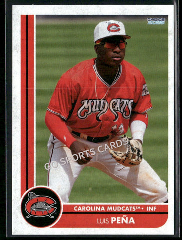 2025 Carolina Mudcats Luis Pena