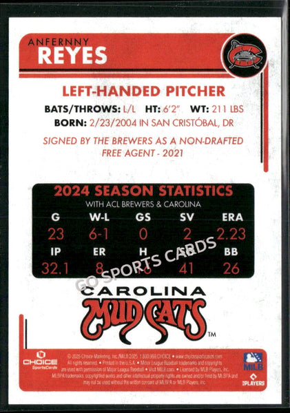 2025 Carolina Mudcats Anfernny Reyes