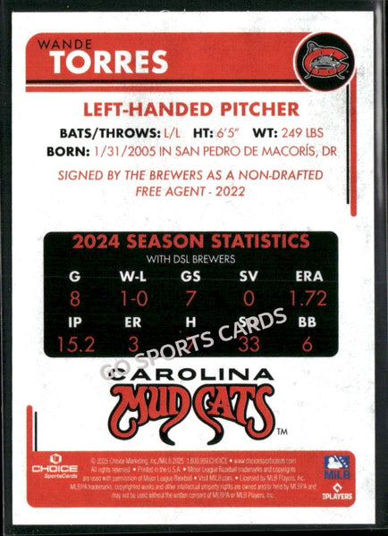 2025 Carolina Mudcats Wande Torres