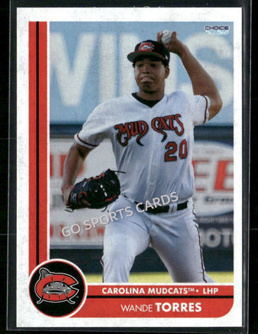 2025 Carolina Mudcats Wande Torres