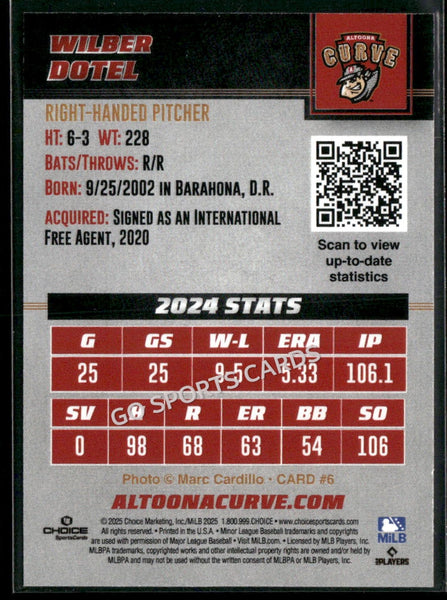2025 Altoona Curve Wilberto Wilber Dotel