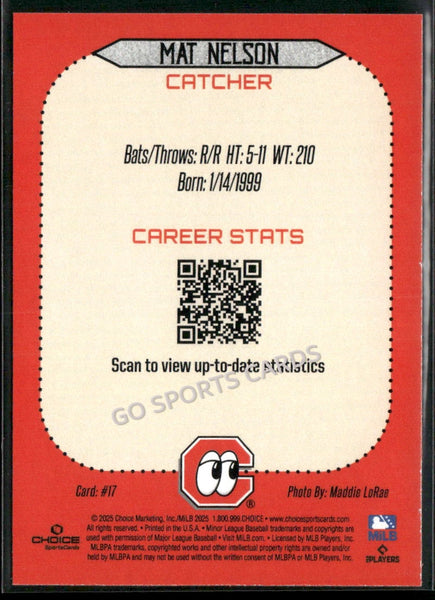 2025 Chattanooga Lookouts Mat Nelson