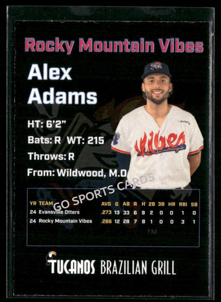 2025 Rocky Mountain Vibes Alex Adams