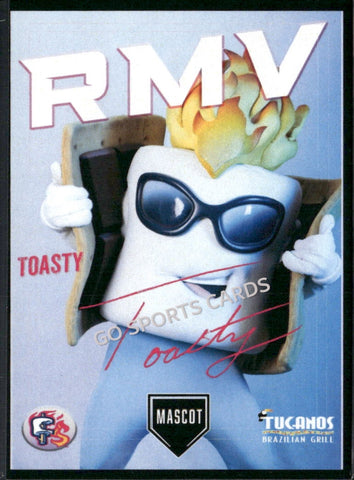 2025 Rocky Mountain Vibes Toasty Mascot