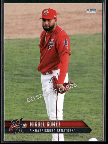 2025 Harrisburg Senators Miguel Gomez