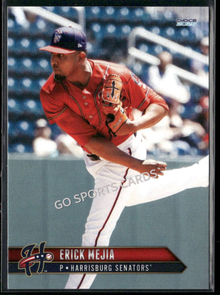 2025 Harrisburg Senators Erick Mejia