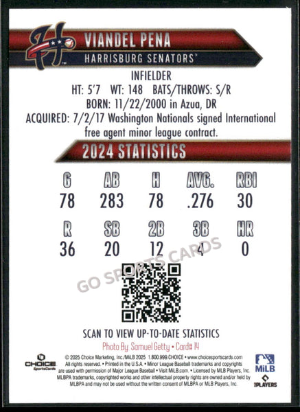 2025 Harrisburg Senators Viandel Pena