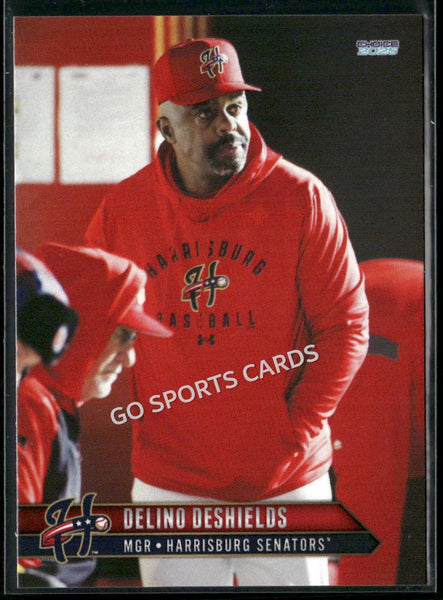 2025 Harrisburg Senators Delino DeSheilds