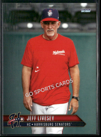 2025 Harrisburg Senators Jeff Livesey