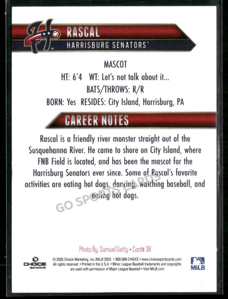 2025 Harrisburg Senators Rascal Mascot