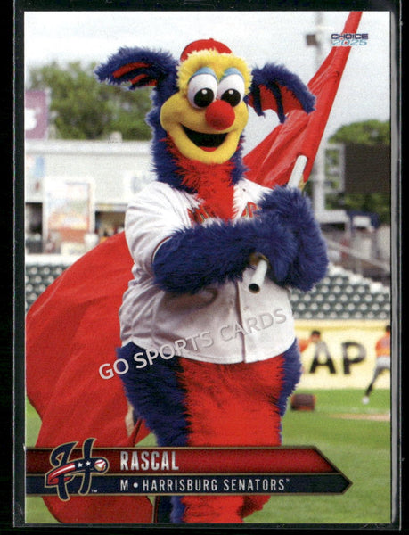 2025 Harrisburg Senators Rascal Mascot