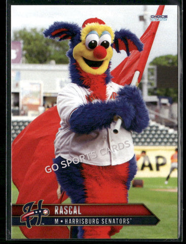 2025 Harrisburg Senators Rascal Mascot