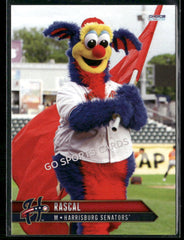 2025 Harrisburg Senators Rascal Mascot – Go Sports Cards