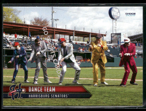 2025 Harrisburg Senators Dance Team